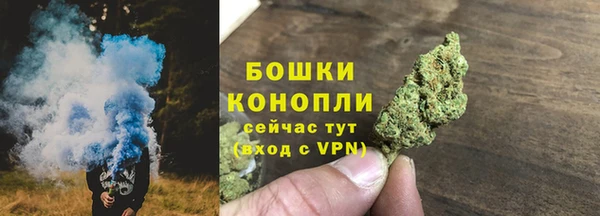 ГАЛЛЮЦИНОГЕННЫЕ ГРИБЫ Михайловск