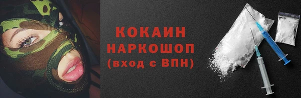 молекула духа Михайлов