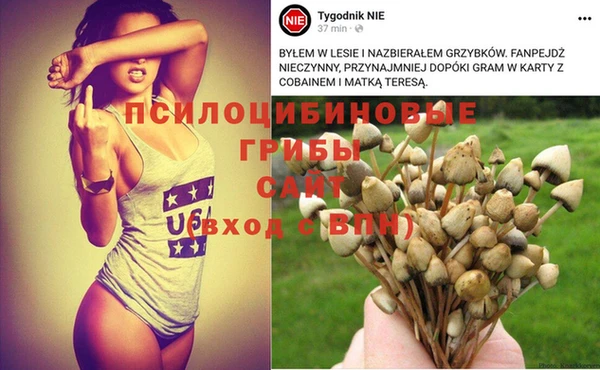 скорость Михайловка