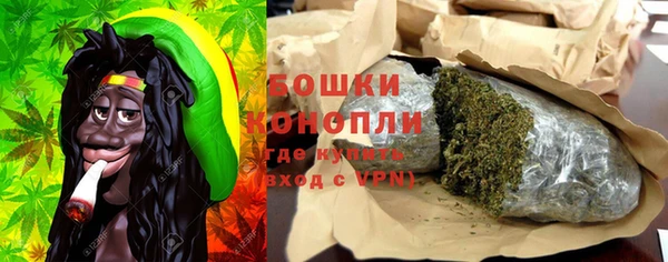 ГАЛЛЮЦИНОГЕННЫЕ ГРИБЫ Михайловск