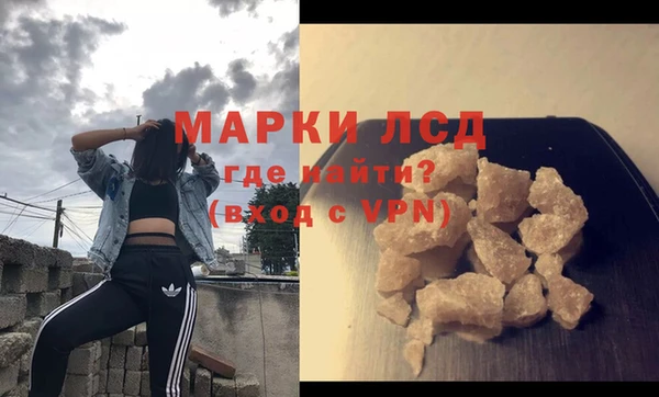 молекула духа Михайлов