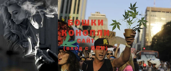 ГАЛЛЮЦИНОГЕННЫЕ ГРИБЫ Михайловск