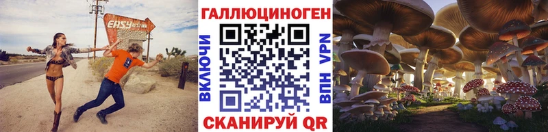 mega Нягань Галлюциногенные грибы Psilocybine cubensis