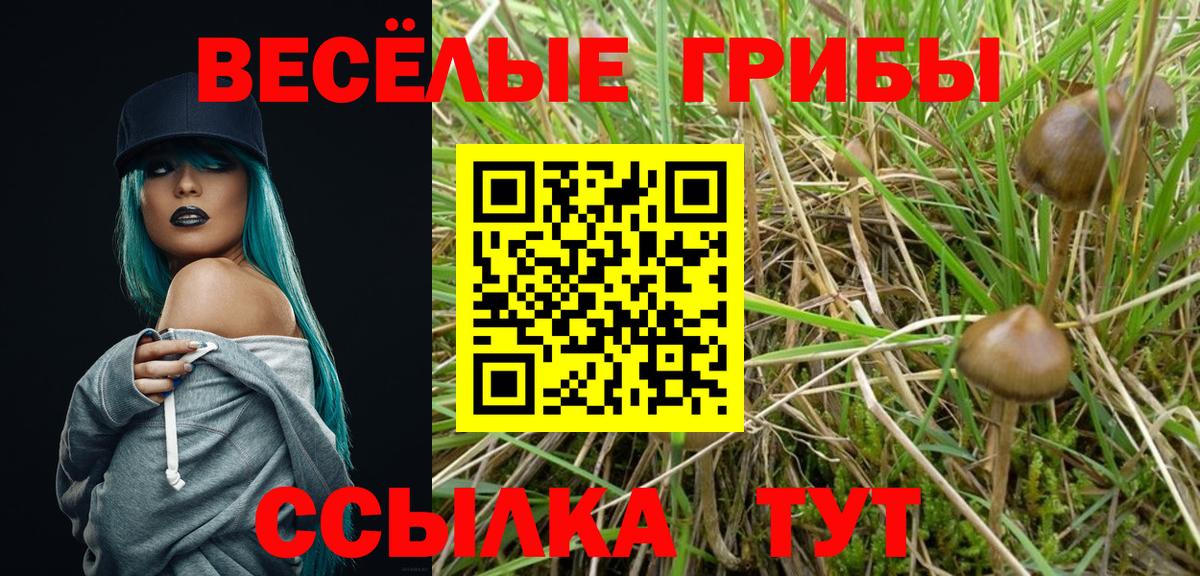 как найти наркотики  Галлюциногенные грибы MAGIC MUSHROOMS  Вход с VPN  Нягань 