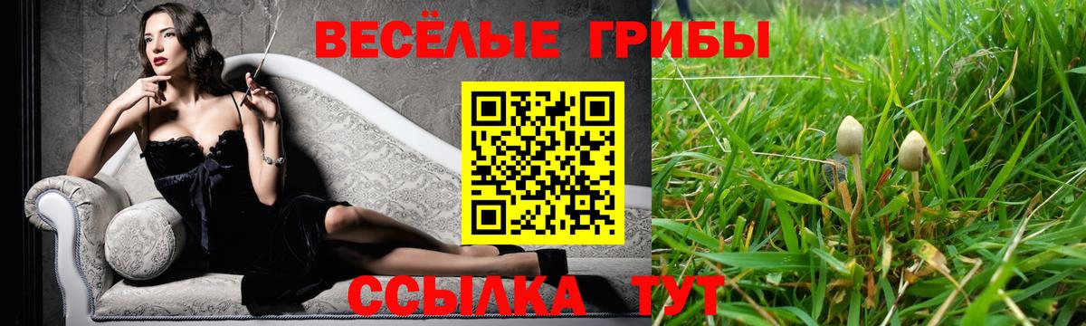 купить наркотик  Нягань  Псилоцибиновые грибы мухоморы 