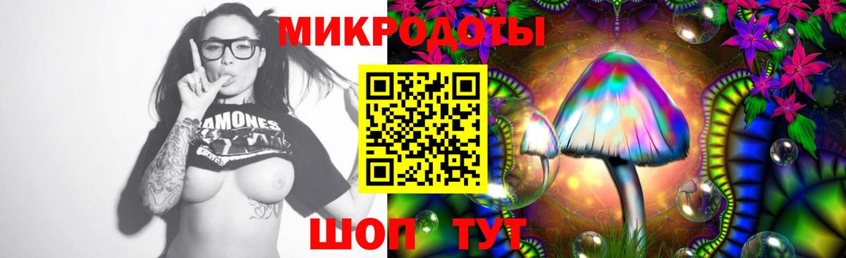 Псилоцибиновые грибы мицелий Нягань